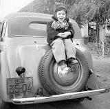 ������� ���������, ������, ����������, ������� ������, 138��